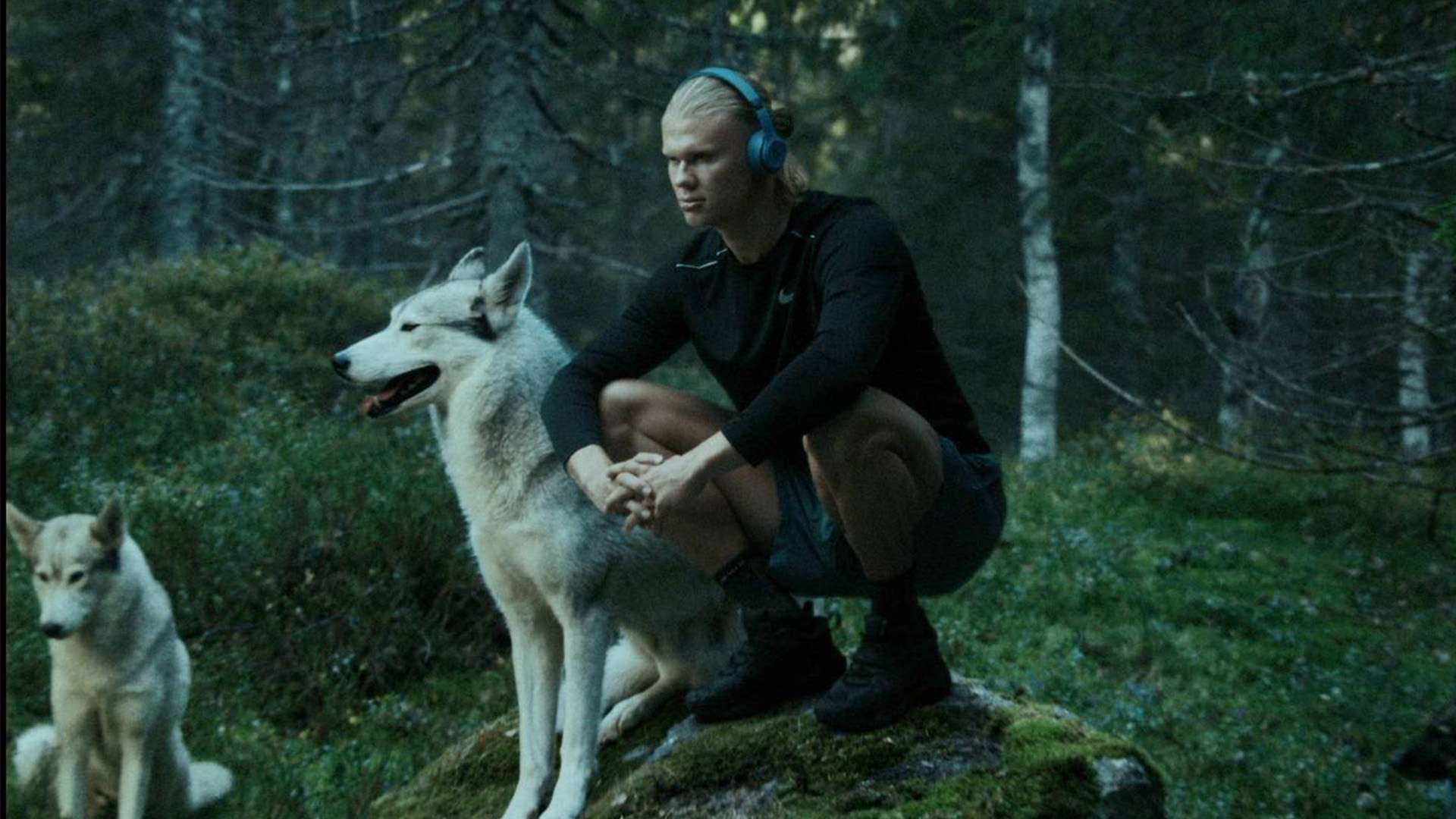 她的职业生 她的职业生